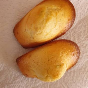 Madeleines nature