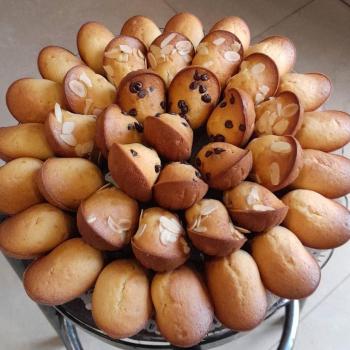 Plateau madeleines mixte